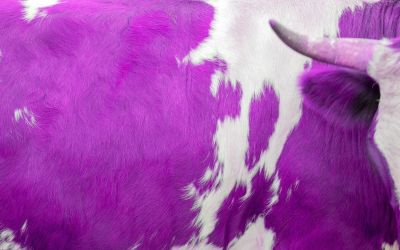 061 – Marketing 101: The Five Ps of Novel Marketing