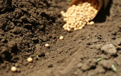 How to Launch Your Book on a Budget