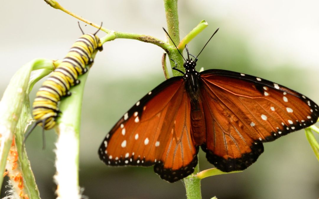 How to Extend Your Book’s Life With Effective Marketing