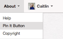 Pin It Button Pin It Button