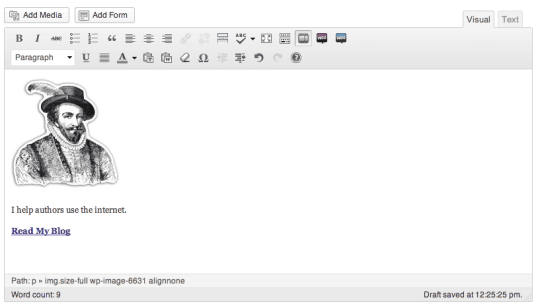 Enter Widget Content